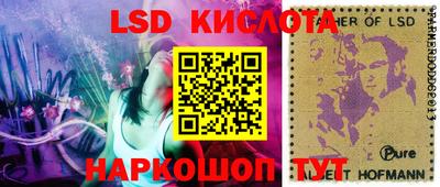 прущие грибы Бердск