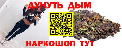 прущие грибы Бердск