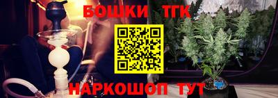 прущие грибы Бердск