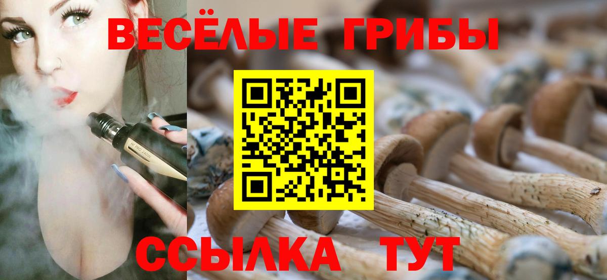 Галлюциногенные грибы Psilocybine cubensis  купить наркотик  Вышний Волочёк  Вход с VPN 